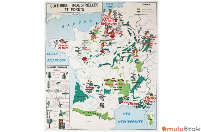 Affiche Carte Cultures Industrielles Et For Ts La Garonne Et Ses