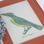 Photo 4 - Lithographie Les Oiseaux exotiques