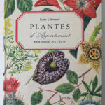 Photo 1 - Plantes d’appartement