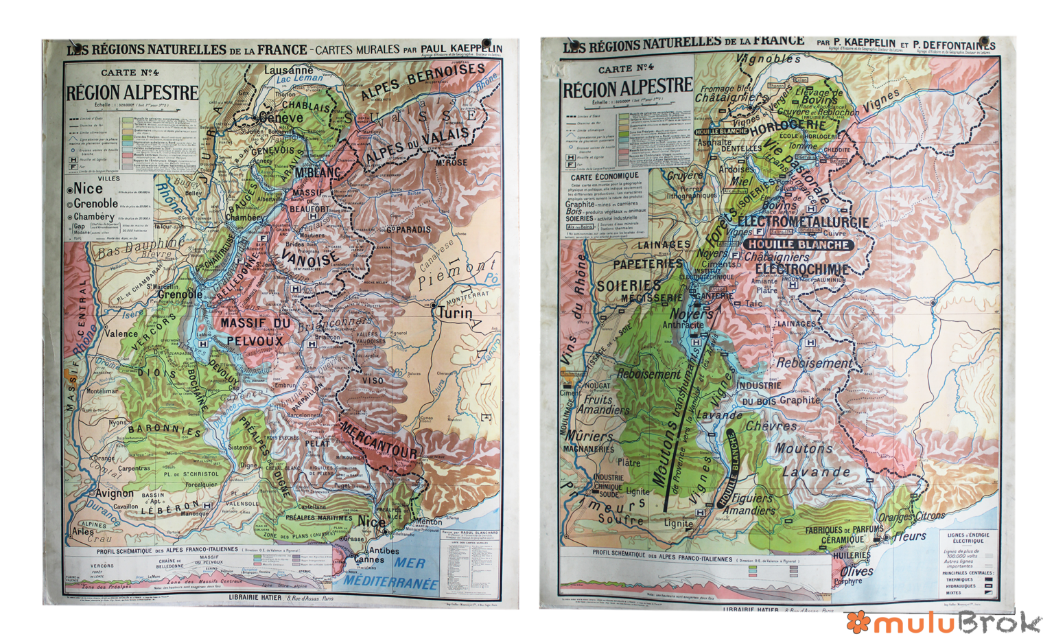 Affiche carte Région Alpestre