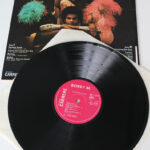 Photo 4 - Disque vinyle Boney M.