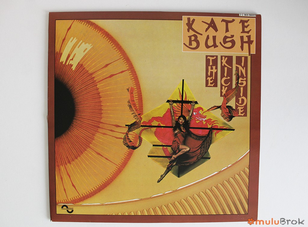 Disque vinyle Kate Bush